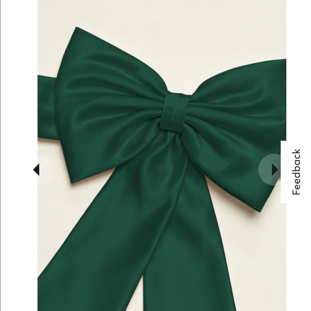NWT - David’s Bridal Juniper Satin Bow (One Bow)